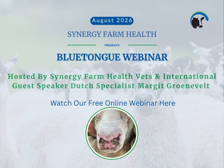 Synergy Farm Health Bluetongue Webinar August 2026
